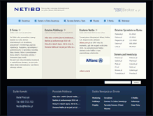 Tablet Screenshot of netibo.pl
